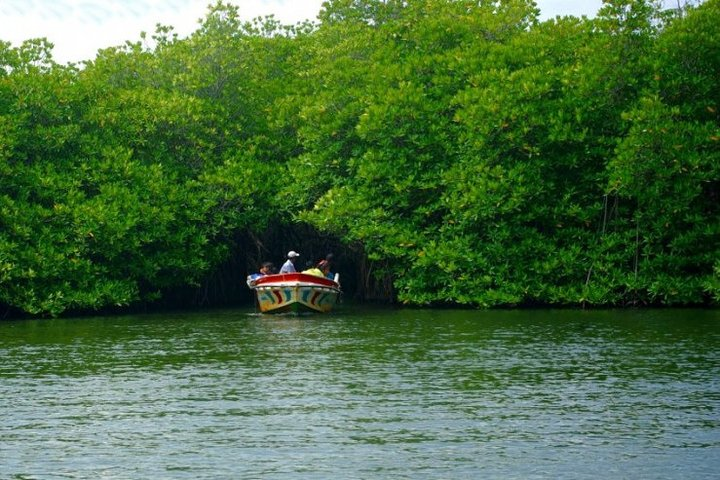 Bentota City Tour from Dikwella - Photo 1 of 7